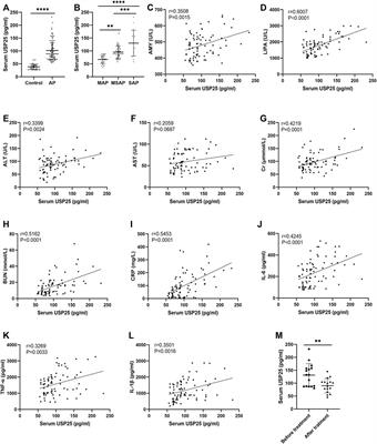 Ubiquitin-Specific Protease 25 Aggravates Acute Pancreatitis and Acute Pancreatitis-Related Multiple Organ Injury by Destroying Tight Junctions Through Activation of The STAT3 Pathway